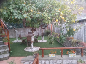 LA Giulia Capri